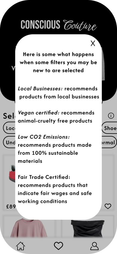 Conscious Couture Filter Information